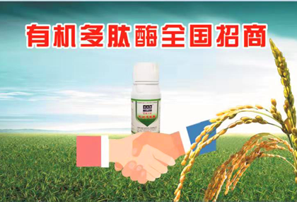 公司簡(jiǎn)介
